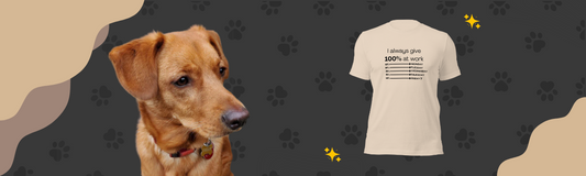 Pawsome Perspective: A Review of My Human's New Funny T-Shirt